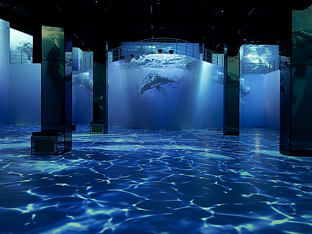 Port-Des-Lumieres-Oceans - Fabijan-Vuksic-7 (4)