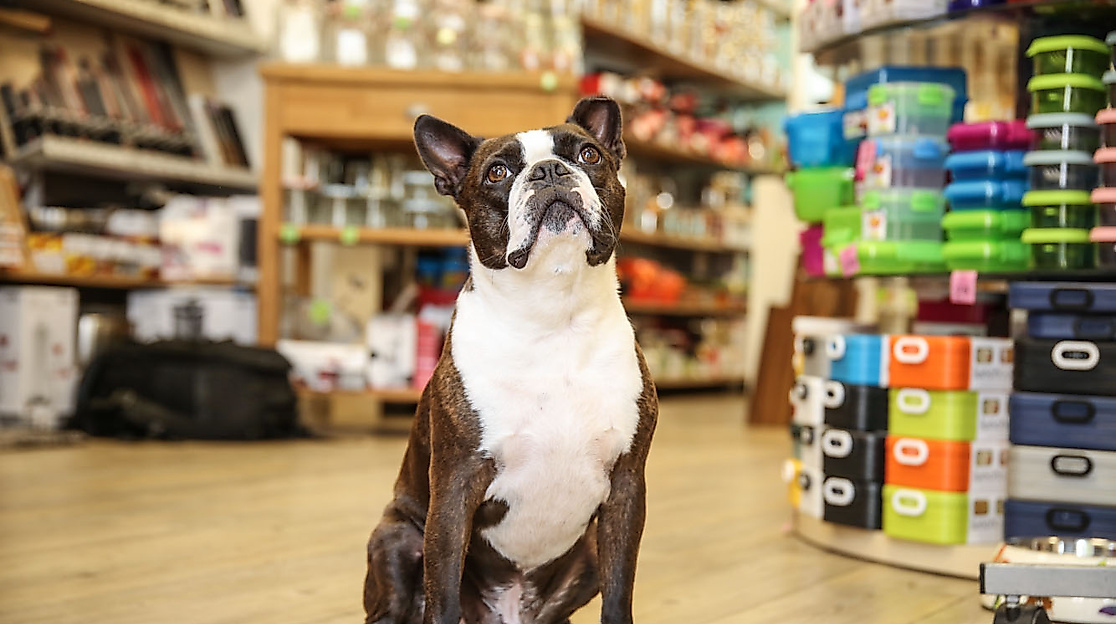 kochen-und-geniessen-3-c-kochen-und-geniessen