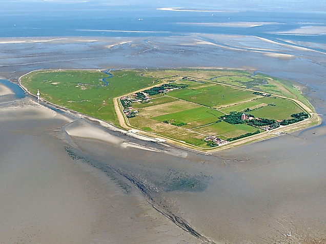Insel Neuwerk im Wattenmeer aus der Luft mit grüner Deichlinie, Wiesen und umgebenden Schlickflächen bei Ebbe.