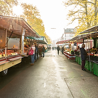Vormittagsstimmung auf dem Bergedorfer Wochenmarkt in Hamburg mit Marktständen und herbstlichem Sonnenlicht.