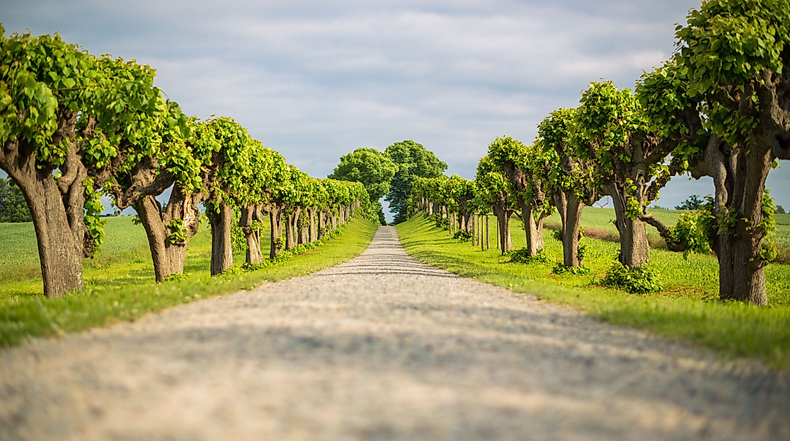 schloss-bothmer_c-timm-allrich_2