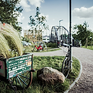 Entenwerder 1
