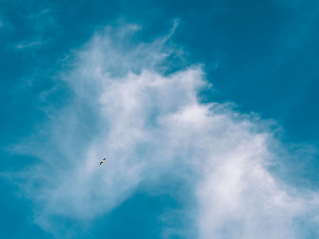 Weiße, federartige Wolke vor blauem Himmel als stimmungsvolle Hintergrundaufnahme.