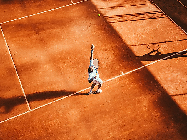 moises-alex-1478774-unsplash