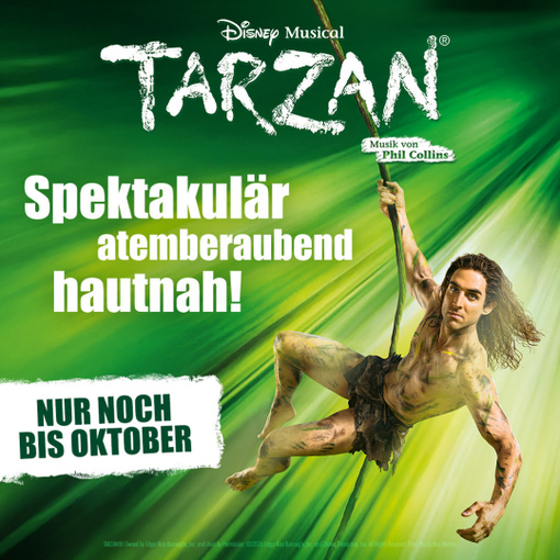 Package: Disneys Musical TARZAN