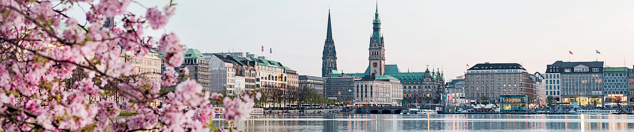 Blühende Kirschbäume an der Alster mit Blick auf Hamburgs Skyline und Kirchtürme im Frühling.