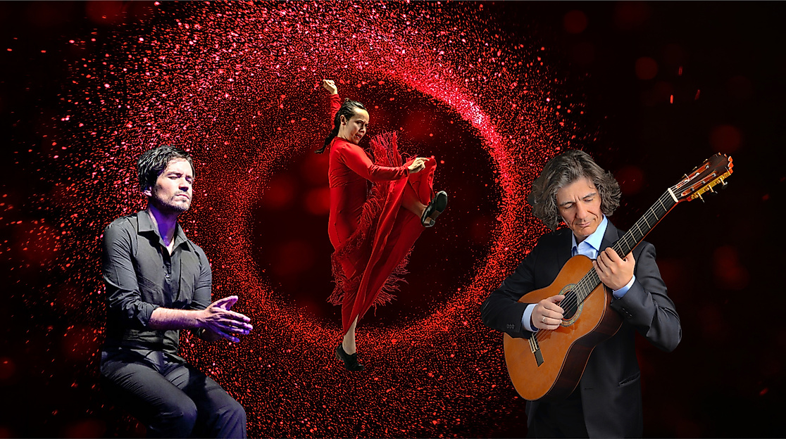 08 Flamenco IMX (c) marko jovanovic_Fidel Meneses_dancephotographfilm_BRump