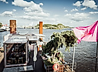 Entenwerder 1