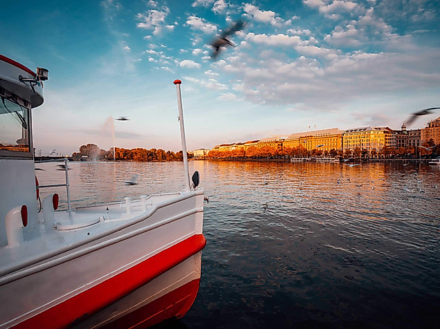 Boot auf der Alster bei Sonnenuntergang mit Möwen und herbstlich beleuchtetem Ufer in Hamburg