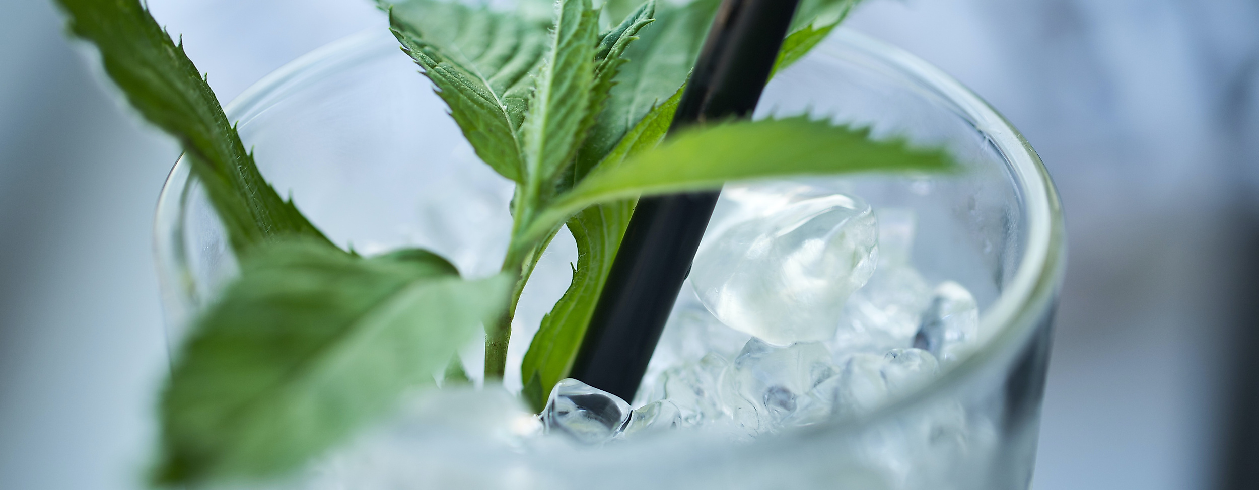 caipirinha_c-unsplash-marc-schulte