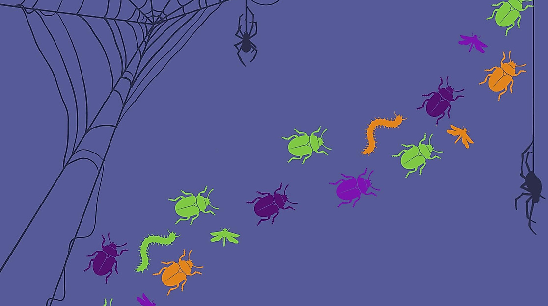 Colorful beetles and caterpillars crawl across the picture