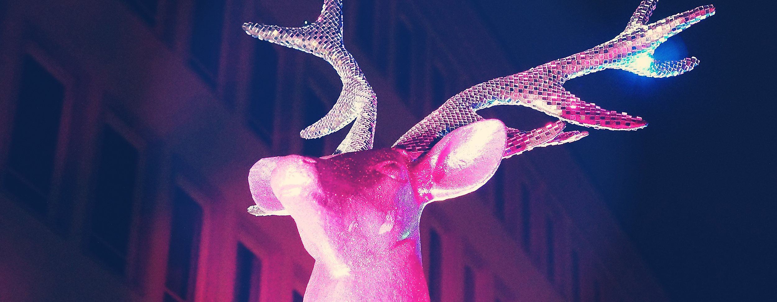 winter-pride-c-ahoi-events-1