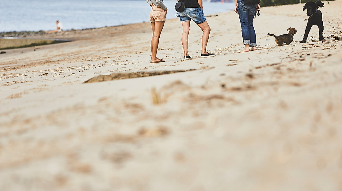Menschen und Hunde am Elbstrand mit Blick auf die Elbe und den Hamburger Hafen im Hintergrund