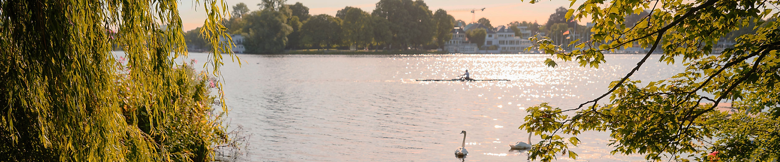 Blick durch herbstliches Blattwerk auf die Alster in Hamburg mit glitzerndem Wasser und Uferbebauung.