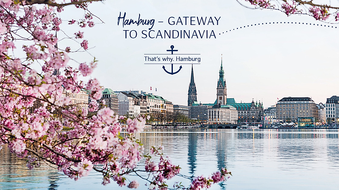 Binnenalster in Hamburg während der Kirschblüte