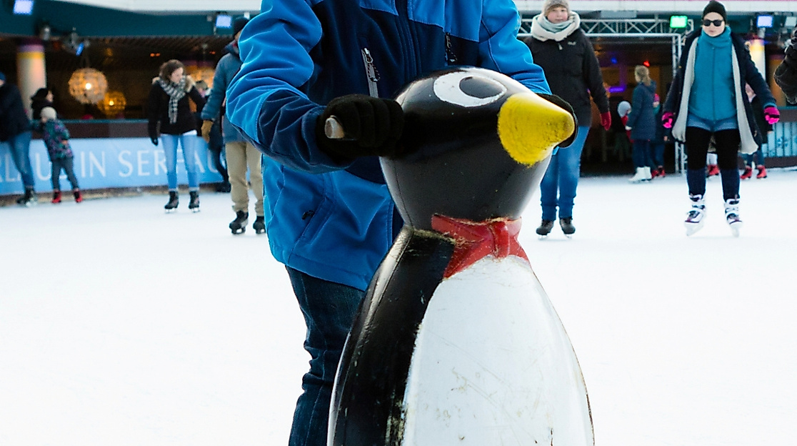 eisarena6