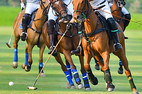 Polo-Spiel auf grüner Wiese mit Reiter:innen in Aktion als britischer Traditionssport in Hamburg