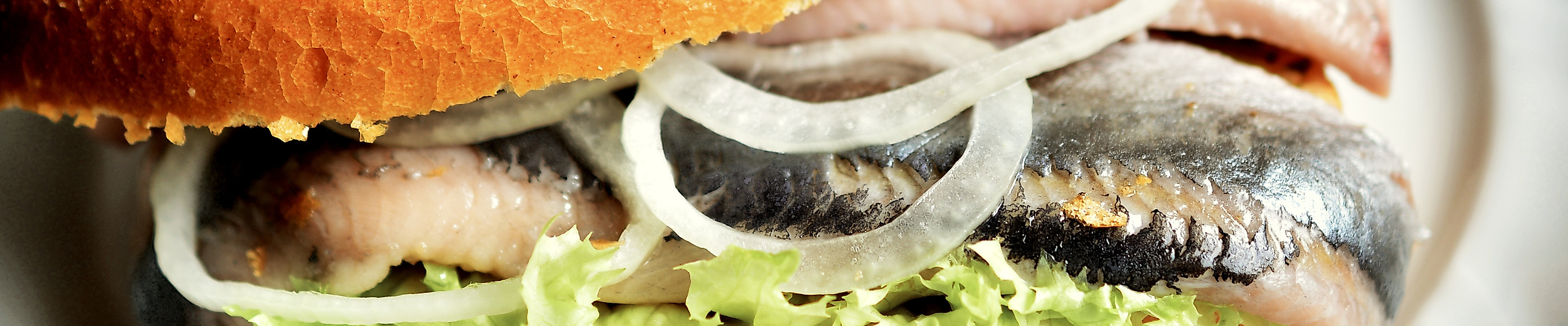 Fischbrötchen mit Matjes, Zwiebelringen und Salat auf einem weißen Teller serviert