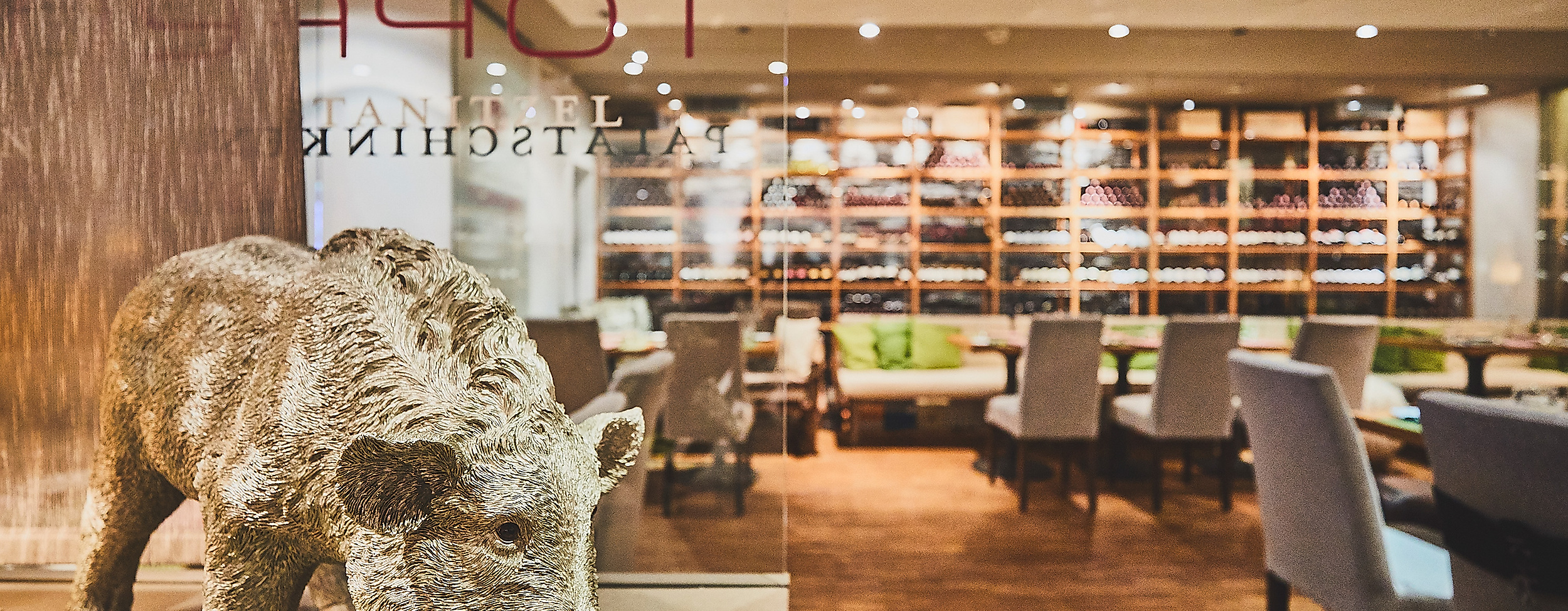 tschebull_c-2018-thisisjulia-photography-5