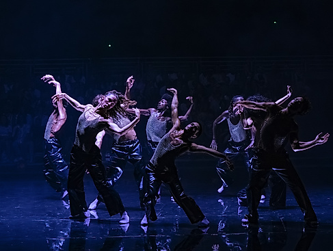 A group of dancers is standing on stage, moving mainly their upper bodies.