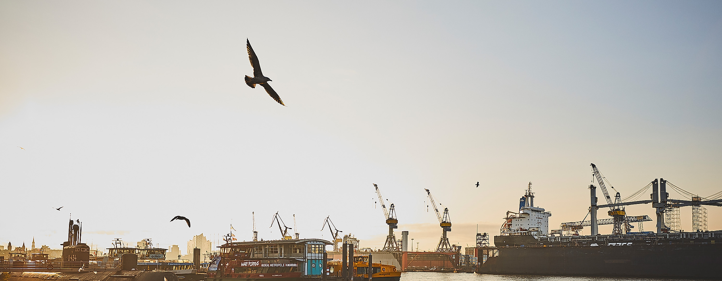 Sonnenaufgang im Hamburger Hafen mit Möwe im Flug, Schiffen und Hafenkränen im Gegenlicht