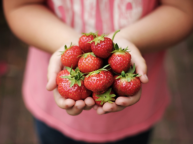 kind-haelt-erdbeeren-in-der-hand_c-skyla-design-arngdmnfujc-unsplash