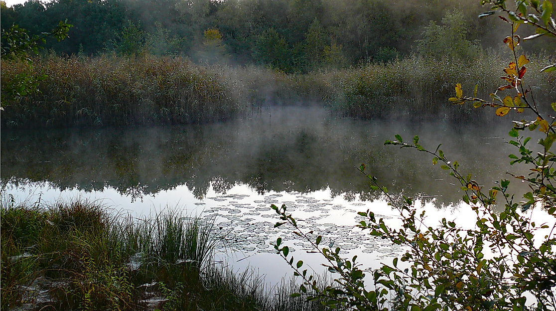 nsg-rothsteinmoor2-web2500x1500