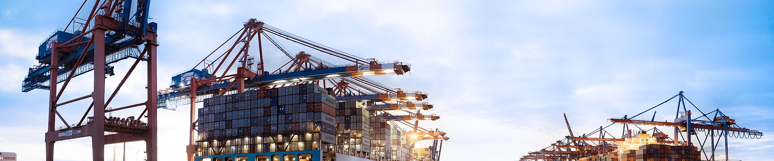 Zwei Containerschiffe im Hamburger Hafen an Verladekränen bei blauem Himmel und ruhigem Wasser
