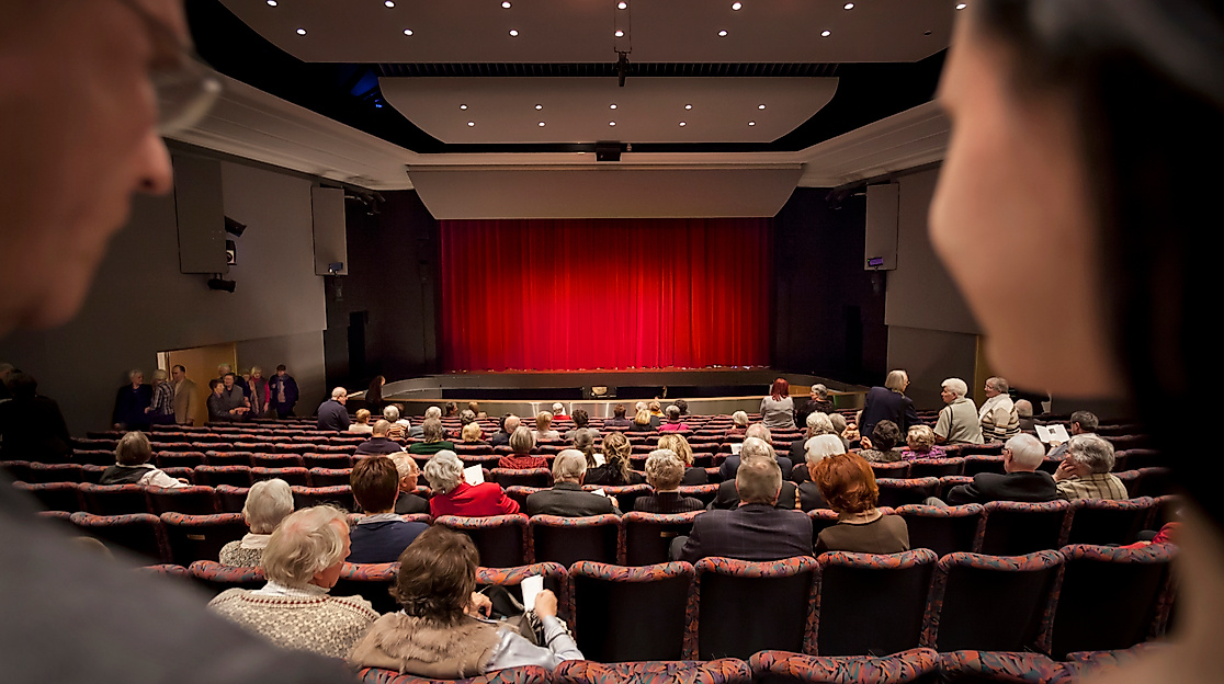 TheaterLueneburg_Zuschauerraum02_(c)Dan_Hannen