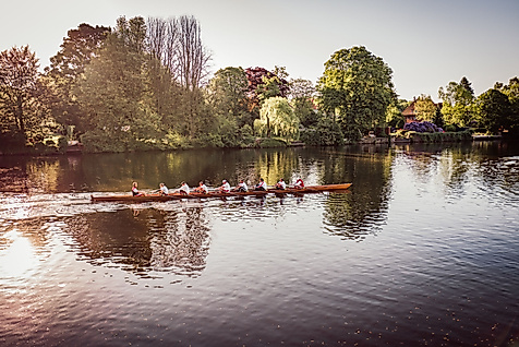 Ruderteam auf der Außenalster im Sonnenlicht, umgeben von grünem Ufer und Bäumen