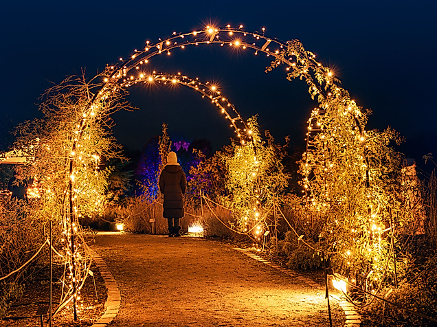 christmas-garden-2024-c-hamburg-views-by-matthias-plander-web-2500x1500