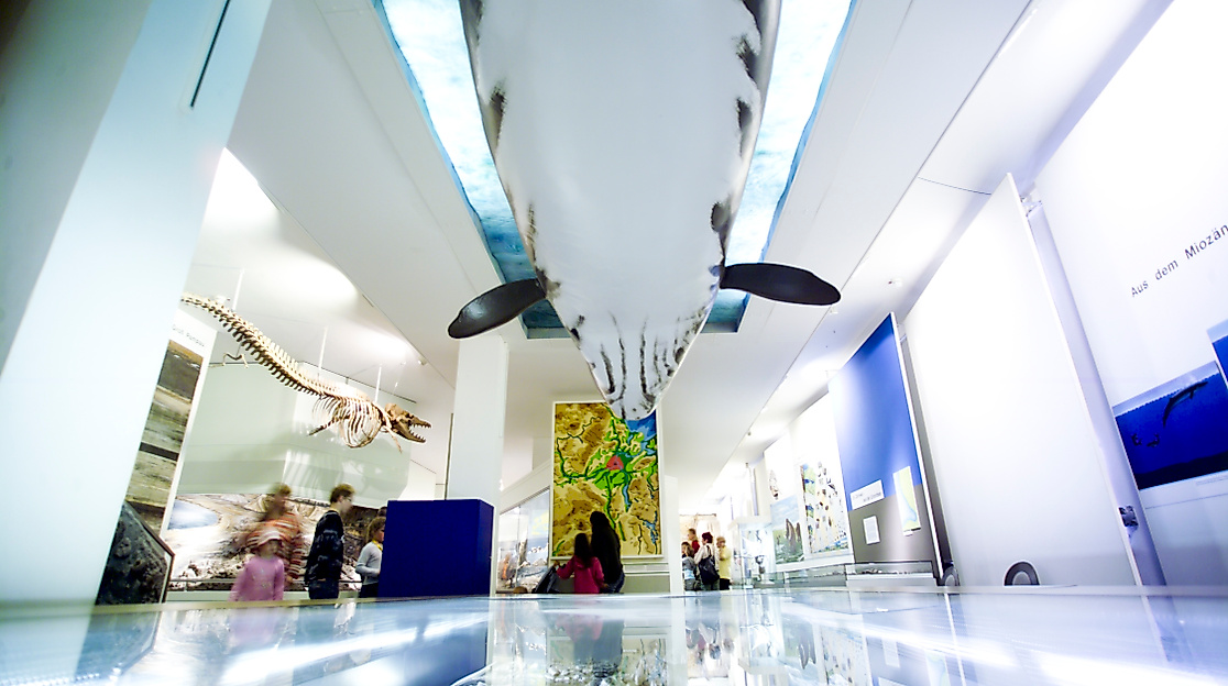 Walmodell_c. Michael Haydn_Lübecker Museen