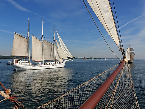 minerva-kiel-kopie