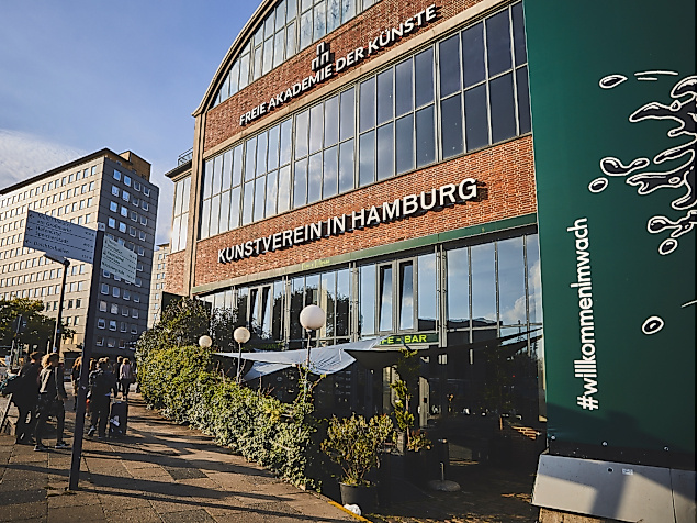 12-Monats-Kunstmeilenpass