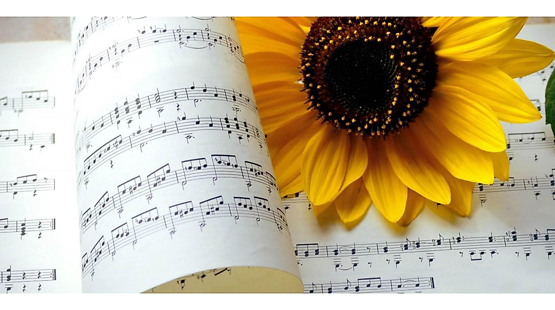 Summer concert