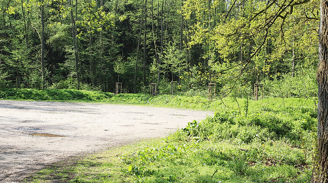 heike-stange-c-parkplatz-birkengrund