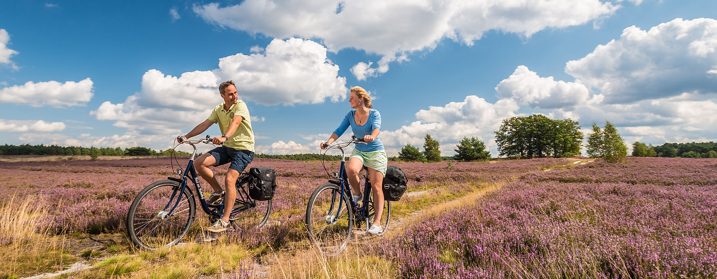 Zwei Radfahrer:innen fahren bei Sonnenschein durch blühende Heide in der Lüneburger Heide.