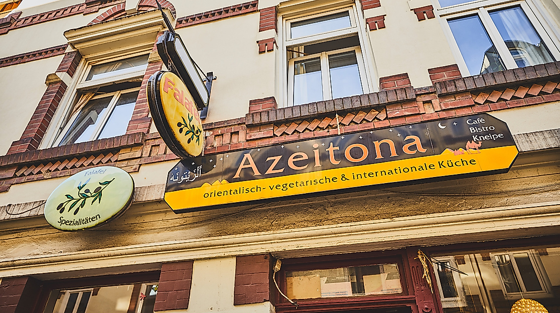 azeitona_c-2018-thisisjulia-photography-3