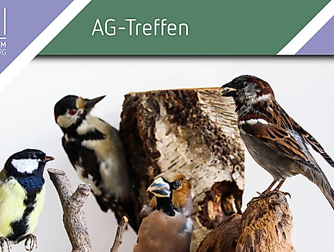 Treffen der AG Vogelkunde