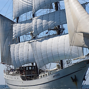 Port anniversary arrival parade on the three-masted Sailing Ship Artemis