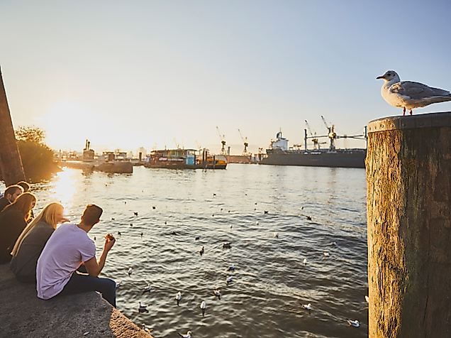 Person am Ufer des Hamburger Fischmarkts bei Sonnenuntergang, Möwe auf Poller und Blick auf den Hafen