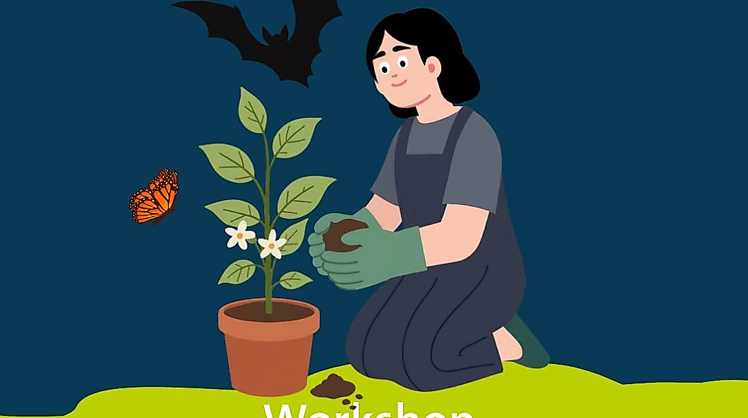 Batweek_Bat Conservation Campaign