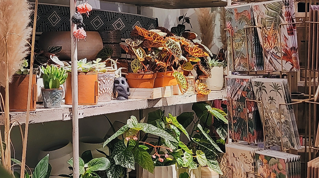 image00036-c-casou-greenery