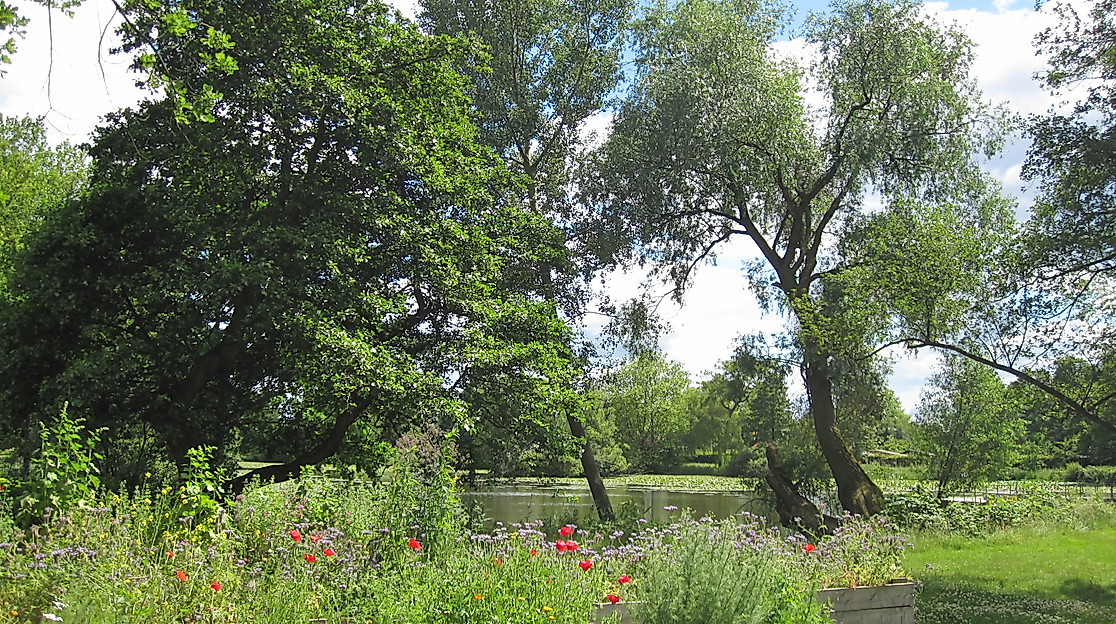 wilhelmsburger-inselpark_c-vera-mueller_03