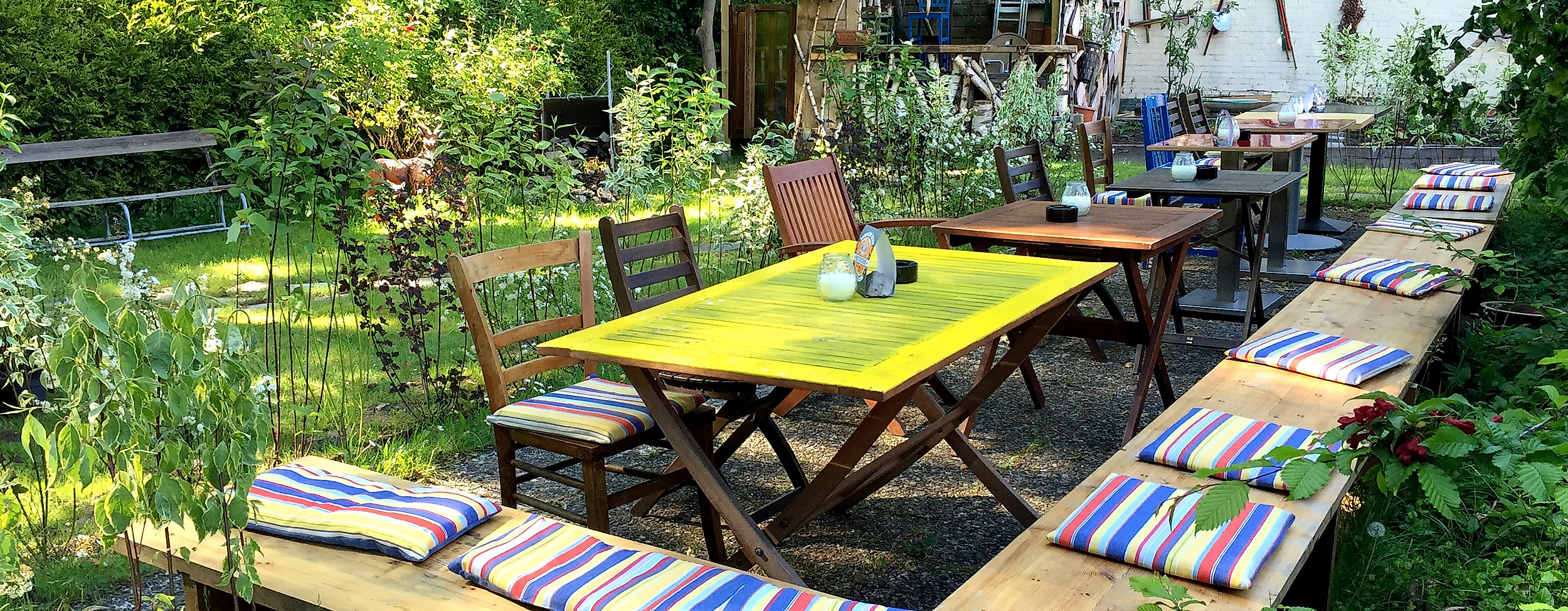 the-vegan-eagle_c-hannah-elser-5