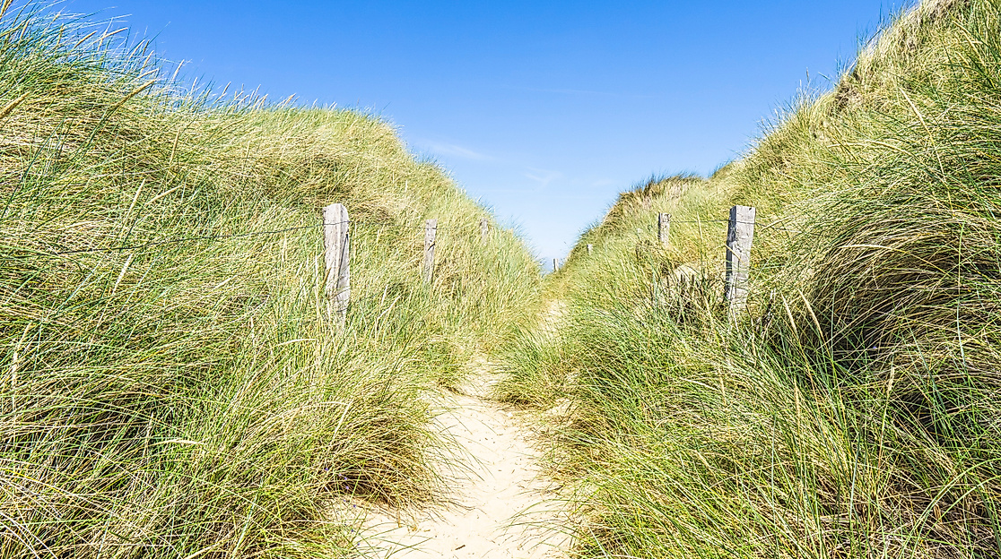 Dünen am Sandstrand