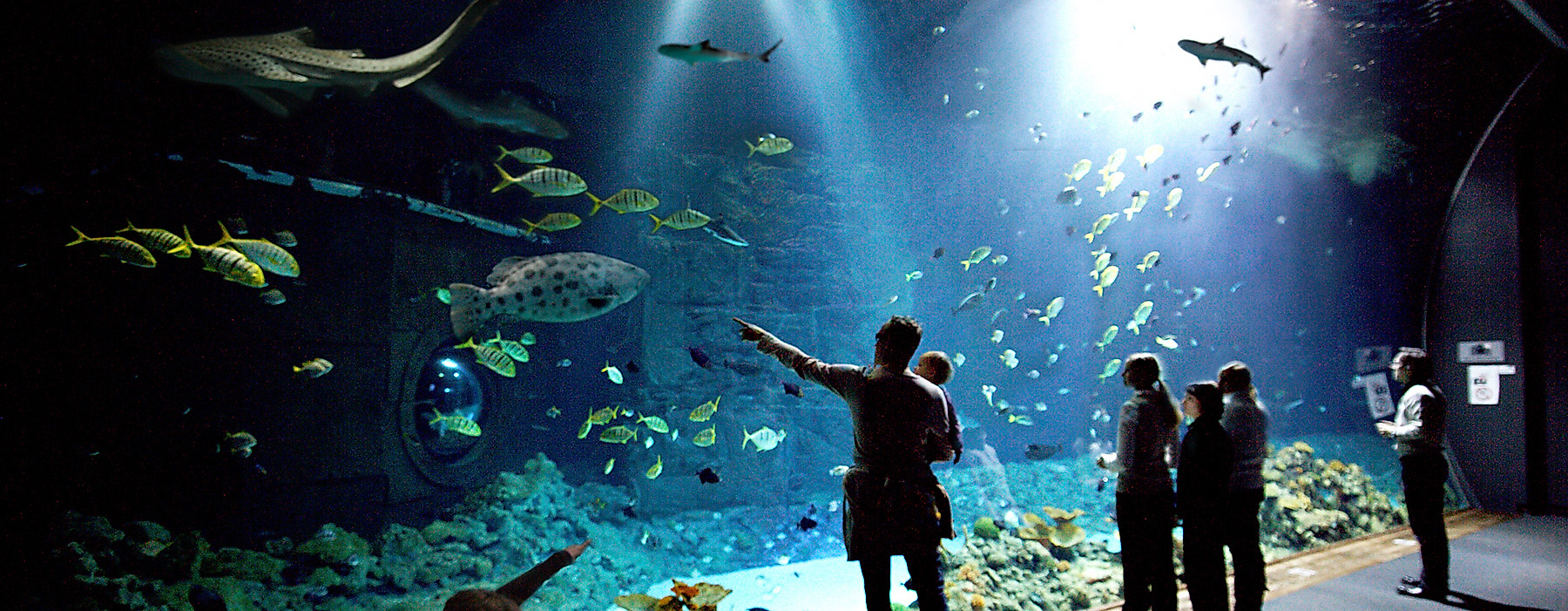 Tropical Aquarium Hagenbeck