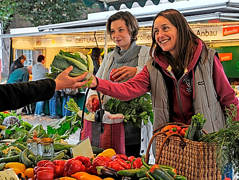 Symbolbild_Nienstedten