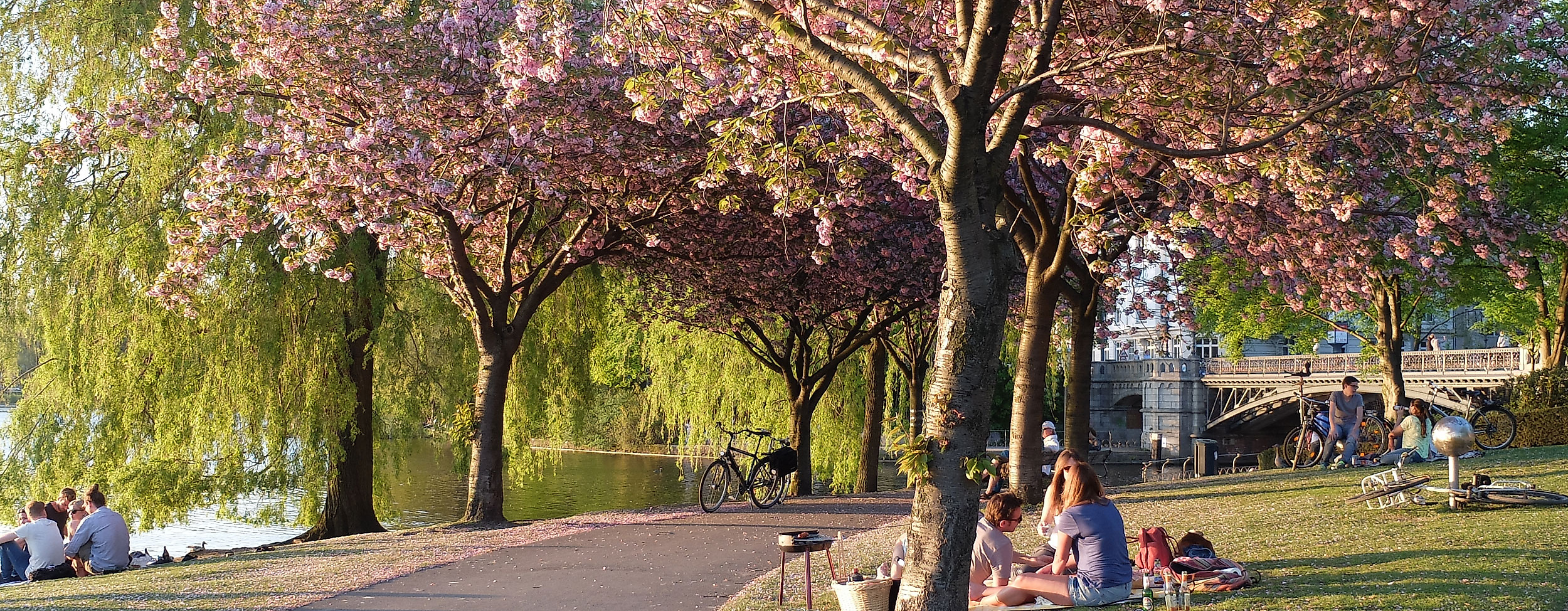 Hamburger Insider Stadtrundgang