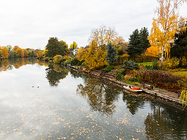 Herbstlich gefärbter Park mit ruhigem See in Hamburg, Laub auf dem Wasser und bunter Ufervegetation